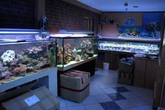 Killikus&reg; Fotographie